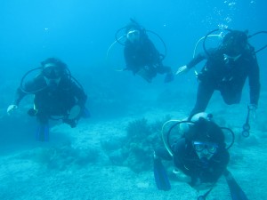 11/24/2013  Key Largo fundive